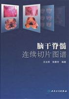 脑干脊髓连续切片图谱