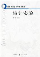 审计实验
