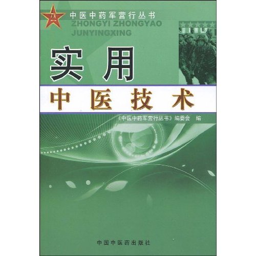 实用中医技术