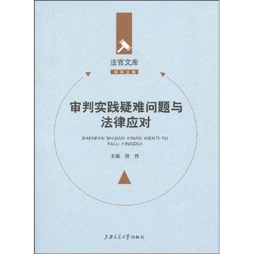 审判实践疑难问题与法律应对