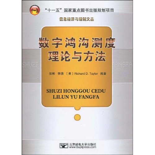 数字鸿沟测度理论与方法