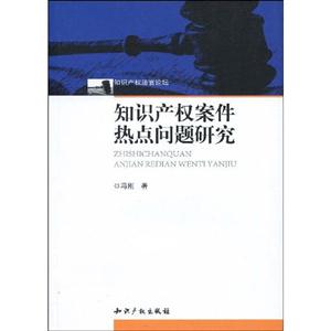 知识产权案件热点问题研究