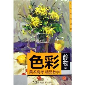 色彩静物-美术高考 精品教学-2