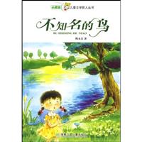 不知名的鸟