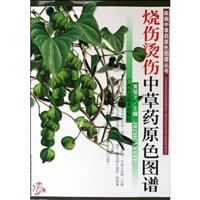 烧伤烫伤中草药原色图谱