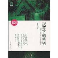 夜幕下的荒宅