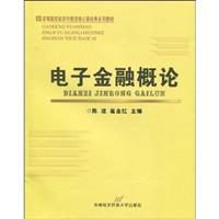 电子金融概论