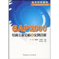 SAP2000结构工程分析及实例详解(跟高手学软件土木工程常用软件应用入门丛书)