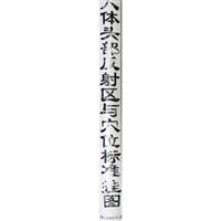 人体头部反射区与穴位标准挂图
