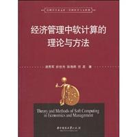 经济管理中软件计算的理论与方法