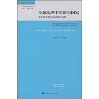 全球治理中的新兴国家-来自海利根达姆进程的经验