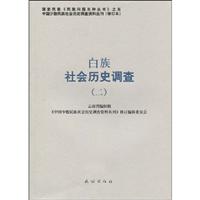 白族社会历史调查-(二)-4