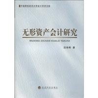 无形资产会计研究