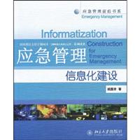 应急管理信息化建设
