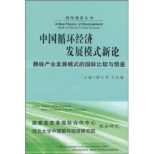 中国循环经济发展模式新论