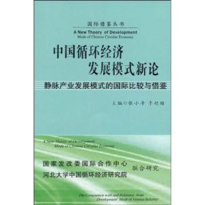 中国循环经济发展模式新论