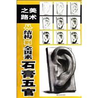 石膏五官-美术之路-从结构互全因素