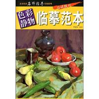 临摹范本-色彩静物