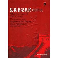 县委书记县长关注什么