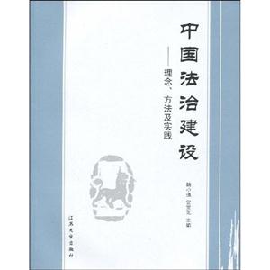 中国法治建设:理念、方法及实践
