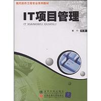 IT项目管理