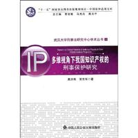 多维视角下我国知识产权的刑事保护研究