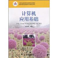 计算机应用基础 武马群
