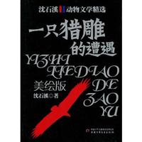 沈石溪 动物文学精选 一只猎鵰的遭遇