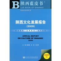 2009版陕西文化发展报告(附光盘)