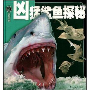 兇猛鯊魚探秘