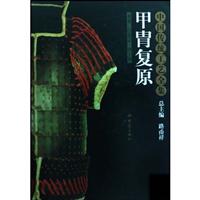 中国传统工艺全集:甲胄复原