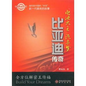 电池大王汽车梦比亚迪传奇