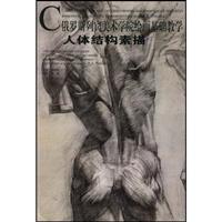 人体结构素描-俄罗斯列宾美术学院绘画基础教学