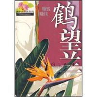 A11-鹤望兰