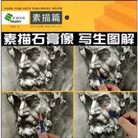 素描石膏像写生图解-素描篇
