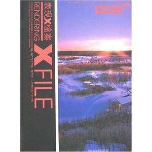 XX FILE:й2008滮뾰