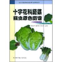 无公害蔬菜病虫鉴别与治理丛书-十字花科蔬菜病虫原色图谱