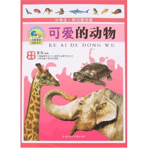 可爱的动物