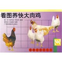 看图养快大肉鸡