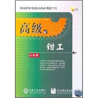 高级钳工-(全实景)(VCD)