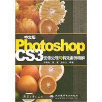 CX5382中文版PhotoshopCS3图像处理与特效案例精解