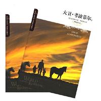 大卫·考波菲尔(上下)