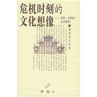 危机时刻的文化想像(文学·文学史·文学教育)