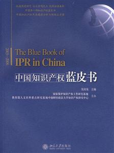 005-2006-中国知识产权蓝皮书"