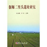 偃师二里头遗址研究