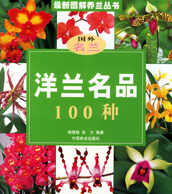 洋兰名品100种