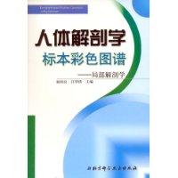 人体解剖学标本彩色图谱－局部解剖学