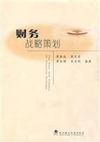 财力战略策划