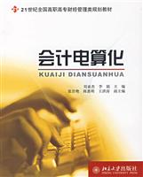 会计电算化