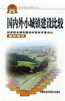国内外小城镇建设比较